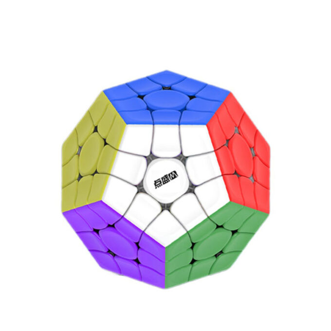 DianSheng Megaminx Magnetic