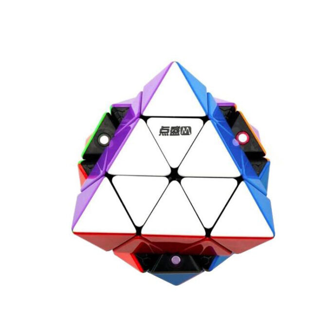 DianSheng FTO Magnetic - Image 2